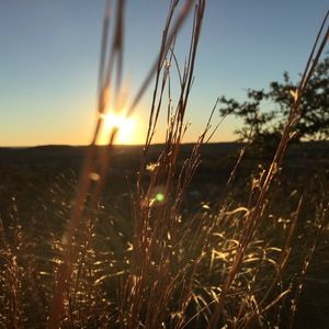 Meet your Posher, Jade